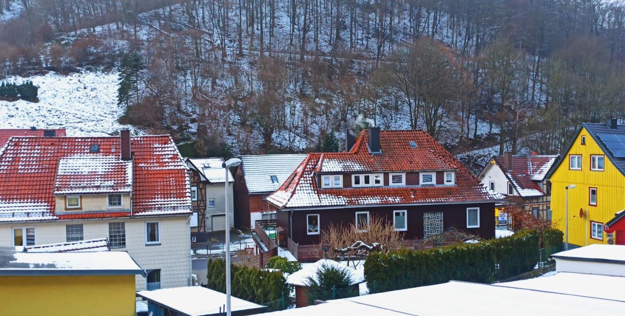 Arode Huette Harzilein - Romantic Tiny House On The Edge Of The Forest Zorge Zewnętrze zdjęcie